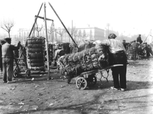 2. Pesaje de balas de algodón, década de 1920