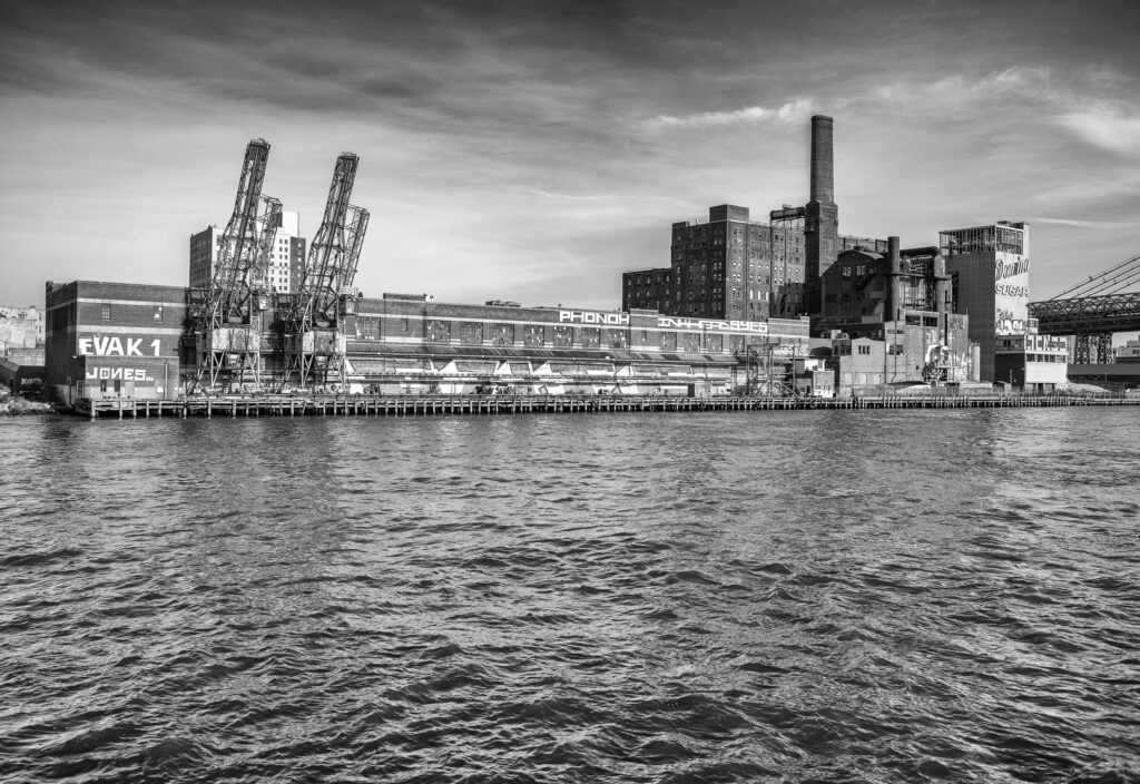 Domino Sugar