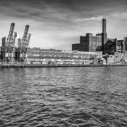 Domino Sugar