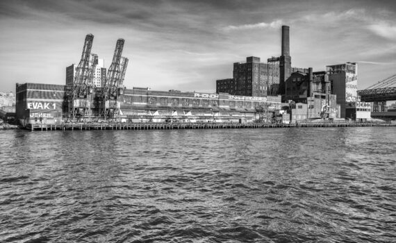 Domino Sugar